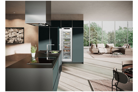 Congélateur armoire Liebherr SIFNSF5128-20 - Encastrable 178 cm