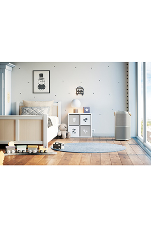 Purificateur Electrolux PA91-404GY