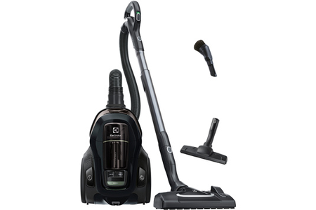 Aspirateur sans sac Electrolux PC91-Green
