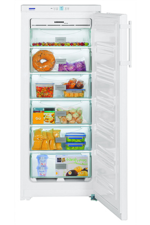 Congélateur armoire Liebherr GKN 230