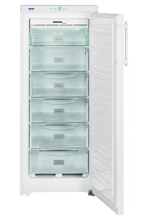 Congélateur armoire Liebherr GKN 230