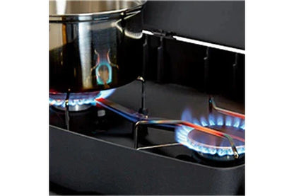 Barbecue Enders à Gaz Urban Pro - 2 Brûleurs Inox - Surface De Cuisson 48 X 32 cm