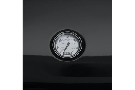 Barbecue Weber Lumin Compact Avec Support Black 91010853